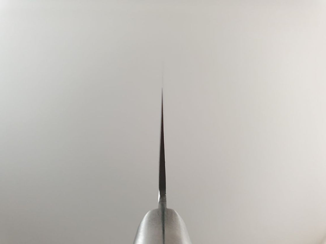 Stainless Japanese Santoku Knife