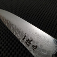 Stainless Damascus Steel Japanese Knife