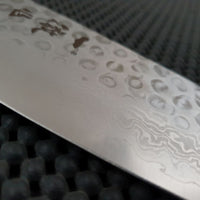 Damascus Steel Gyuto Knife