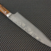 Takeshi Saji Ironwood Gyuto Knife
