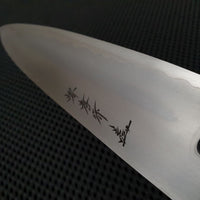 Sakai Takayuki Warikomi Gyuto Hocho