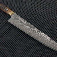 Takeshi Saji Gyuto Knife