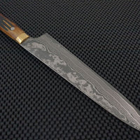 Takeshi Saji Gyuto Knife