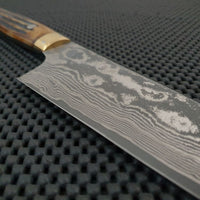 Takeshi Saji Gyuto Knife