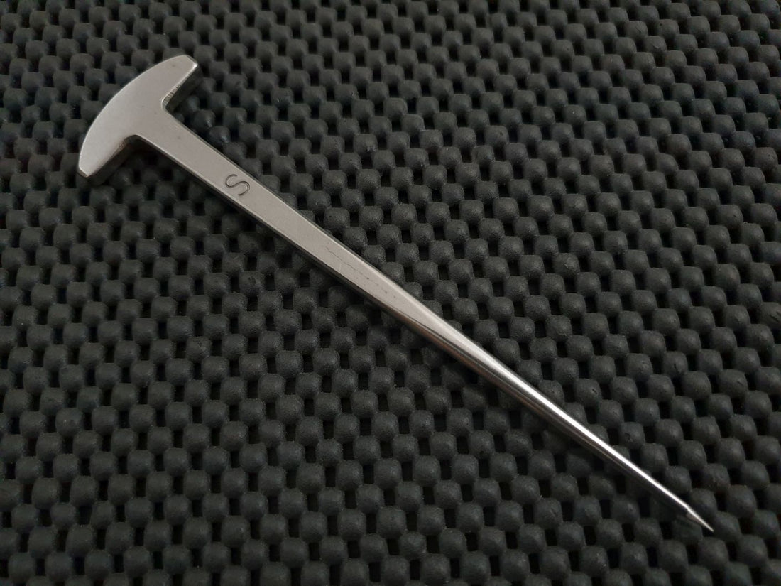 Meuchi Eel Spike Unagi Echizen Japan