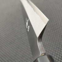Ittetsu Deba Yanagiba Japan
