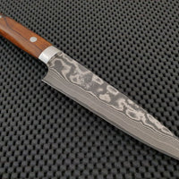Takeshi Saji Petty Knife