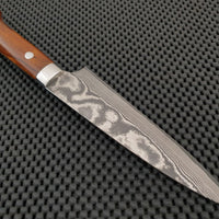 Takeshi Saji Petty Knife