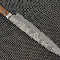 Takeshi Saji Gyuto Knife