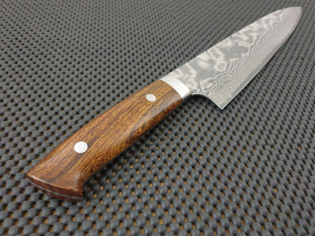 Takeshi Saji Gyuto Knife