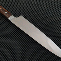 Takeshi Saji Rainbow Damascus Gyuto Knife