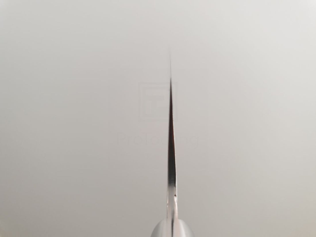 Takeshi Saji Rainbow Damascus Gyuto Knife