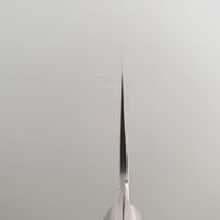 Takeshi Saji Rainbow Damascus Gyuto Knife