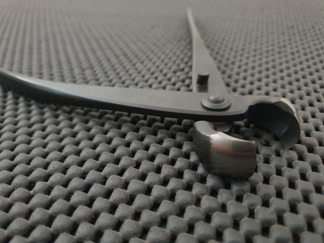 Zuki Garden Bonsai Knob Cutter