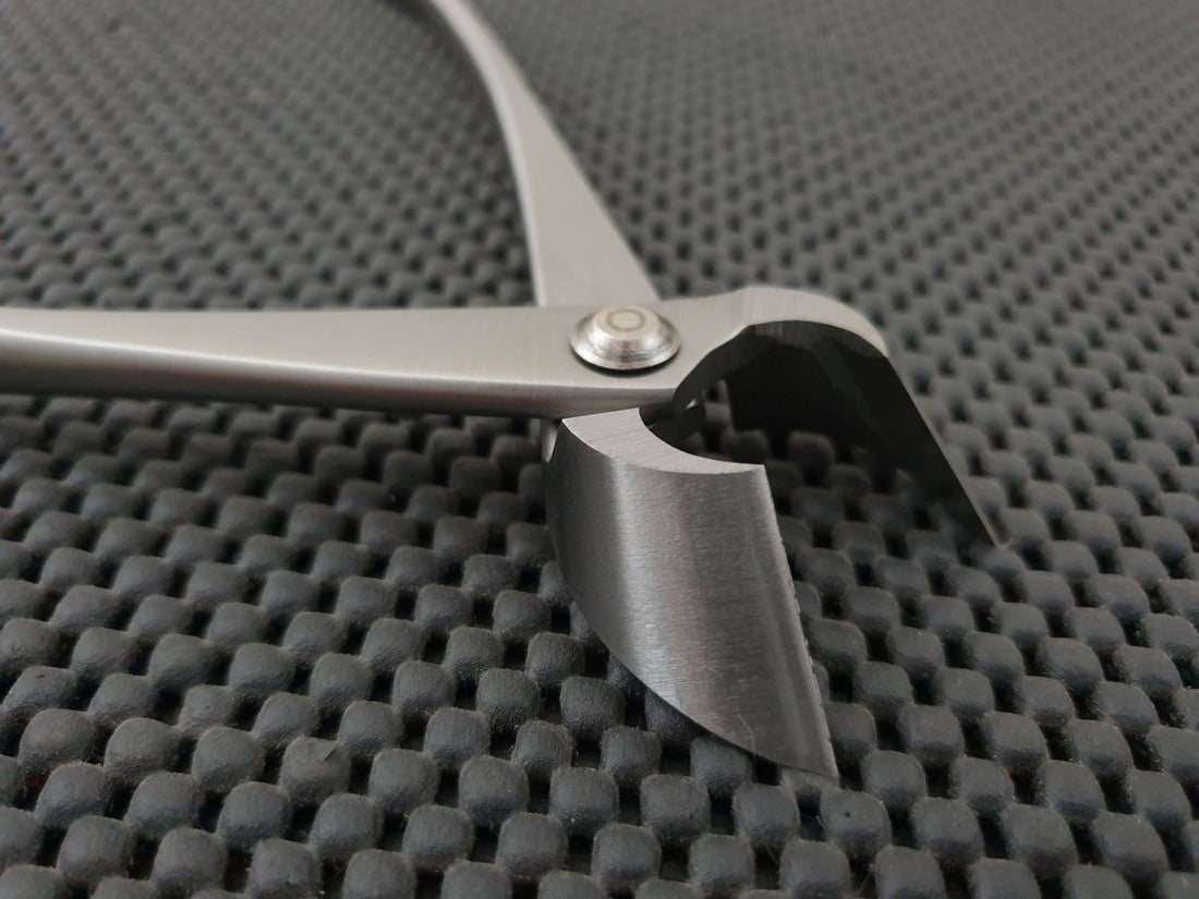 Zuki Garden Bonsai Branch Cutter