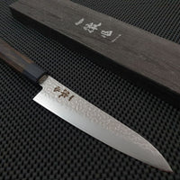 Damascus Steel Gyuto Knife Japan