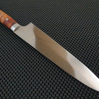 Takeshi Saji Rainbow Damascus Gyuto Knife