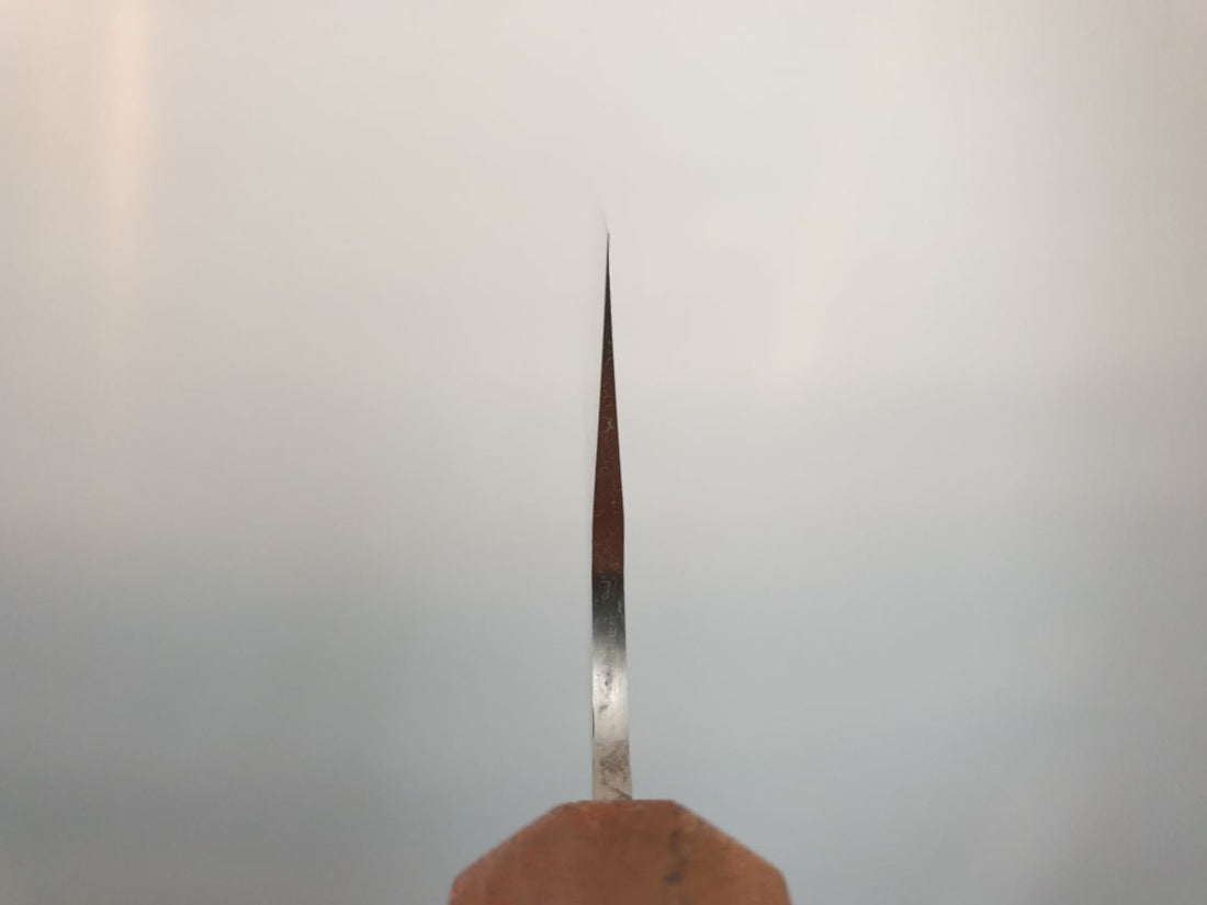 Takeshi Saji SPG Strix Gyuto Knife
