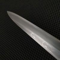 Shigefusa Kitaeji
