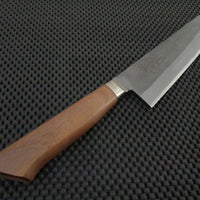 Tadafusa Aogami | 210mm Gyuto Knife (Stainless Clad)