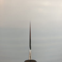 Tetsujin Ukiba | 240 Gyuto Knife (Ginsan)