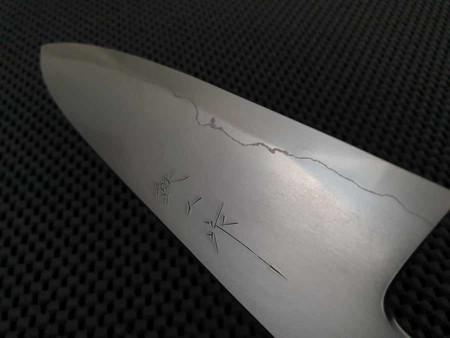 Tetsujin Ukiba | 210mm Gyuto Knife (Ginsan)