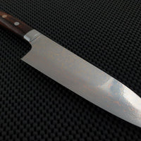Takeshi Saji Rainbow Damascus Santoku Knife Australia