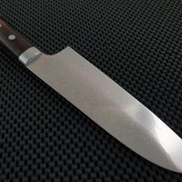 Takeshi Saji Rainbow Damascus Santoku Knife Australia